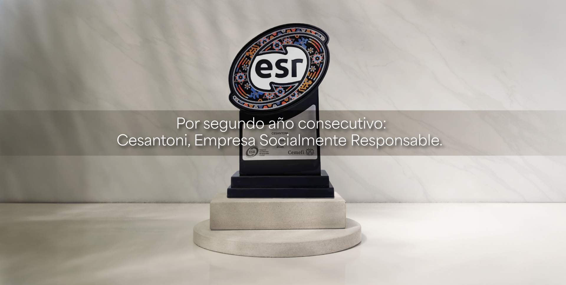 Por segundo año consecutivo: Cesantoni, Empresa Socialmente Responsable