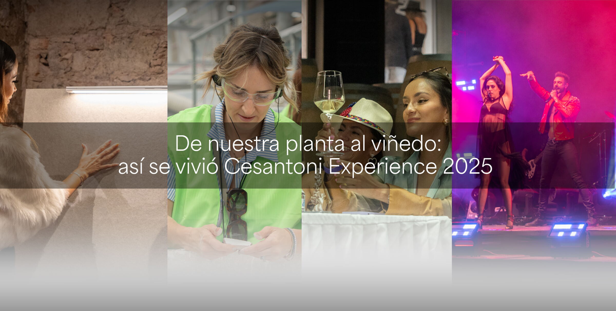De nuestra planta al viñedo: así se vivió Cesantoni Experience 2025
