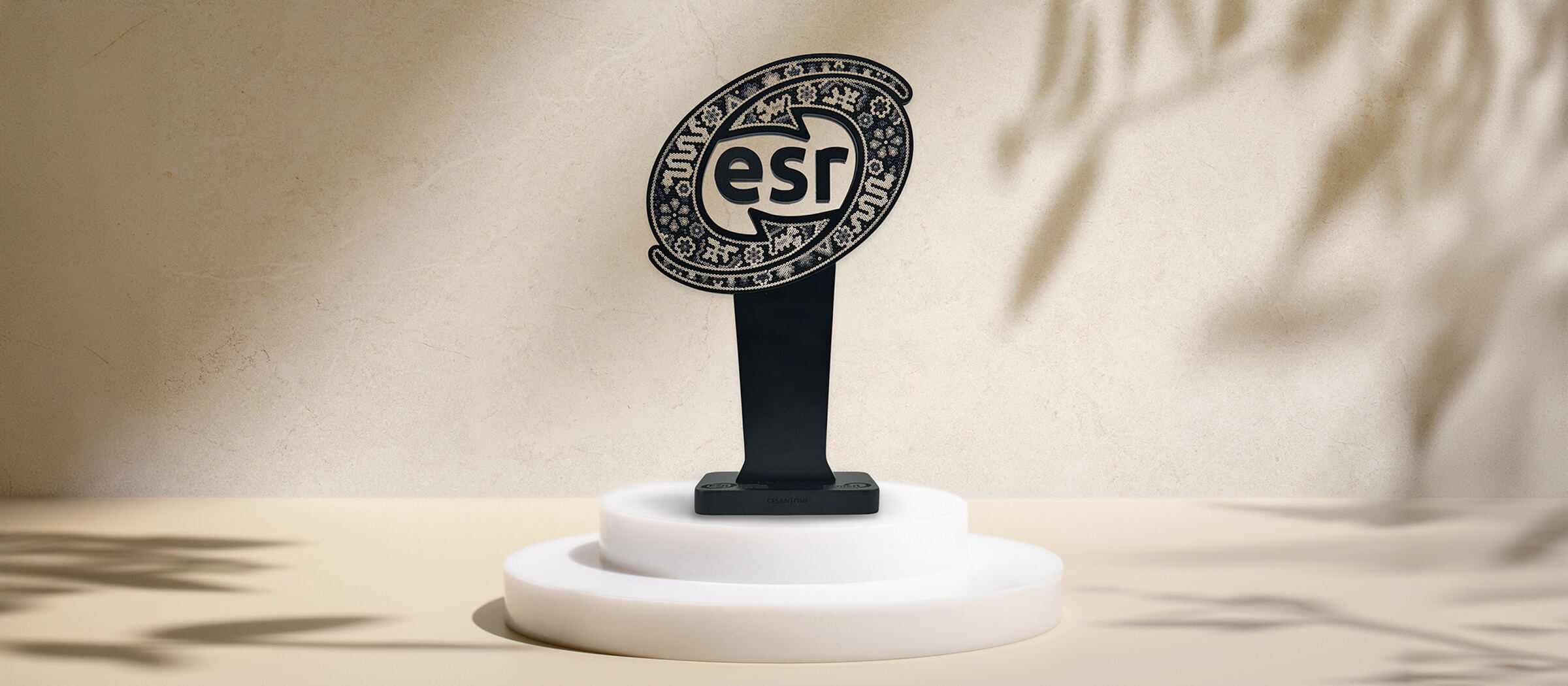 Cesantoni Recibe el Distintivo ESR: Un Compromiso con la Responsabilidad Social.