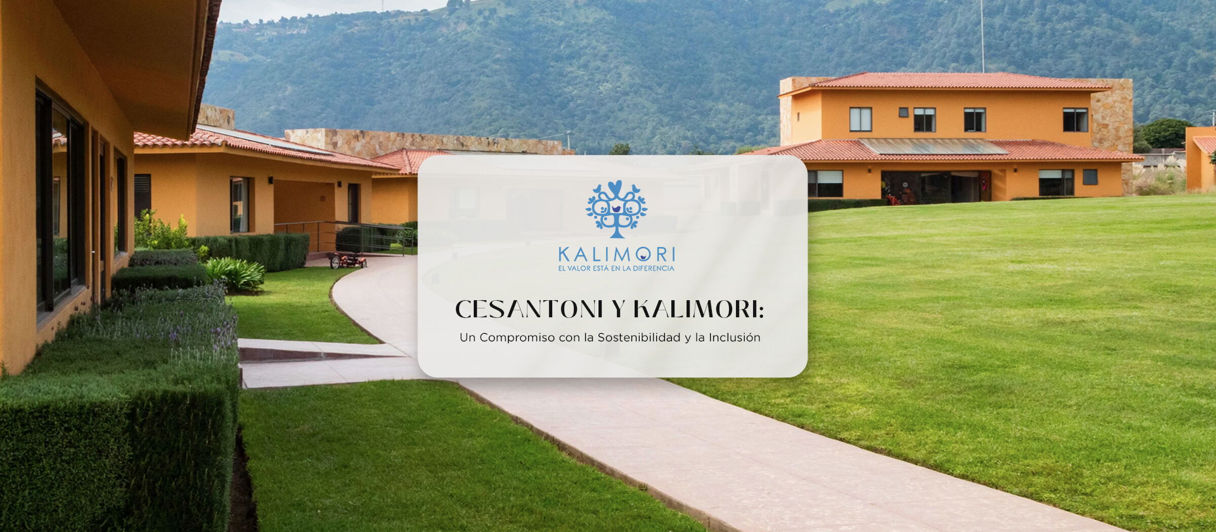 Cesantoni y Kalimori: Un Compromiso con la Sostenibilidad y la Inclusión