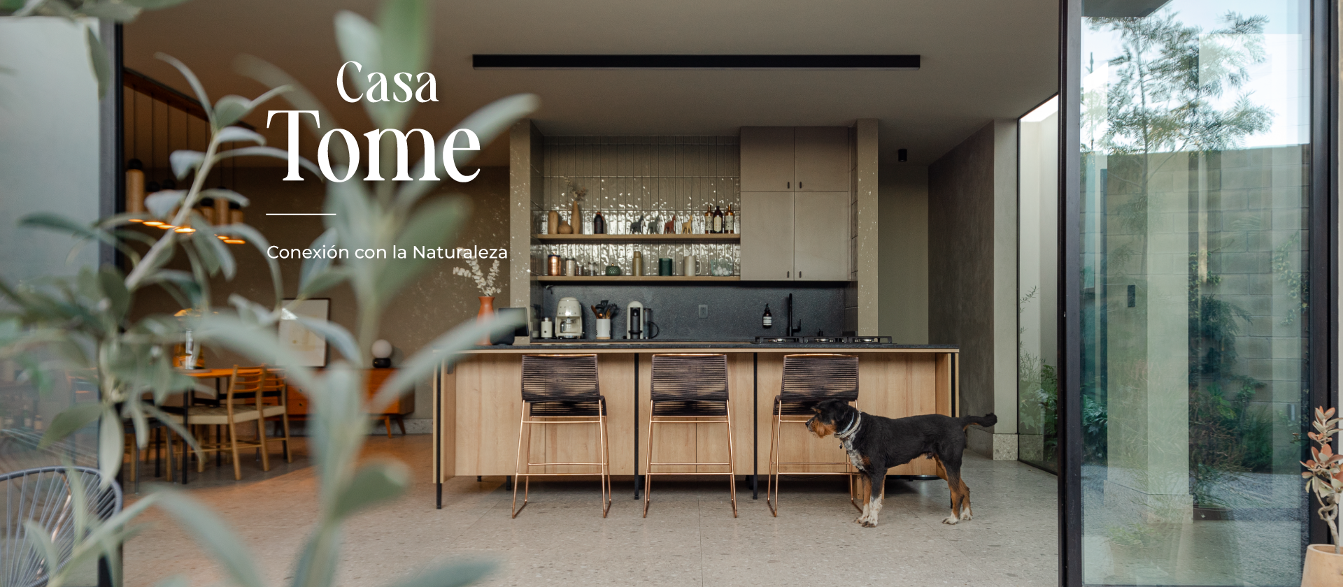 Casa TOME: Conexión con la Naturaleza