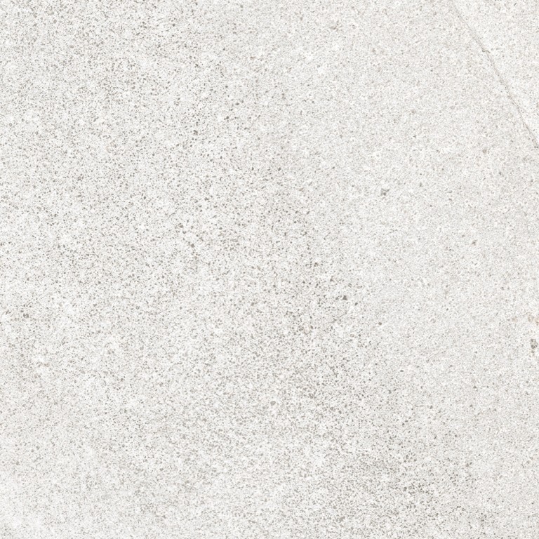Ardem Matte 12''X 24''