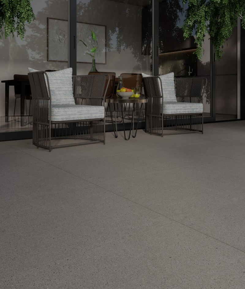 Bastille Gray Mate 60x120