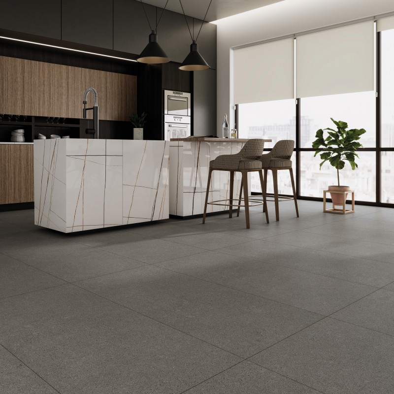 Bastille Gray Mate 60x120