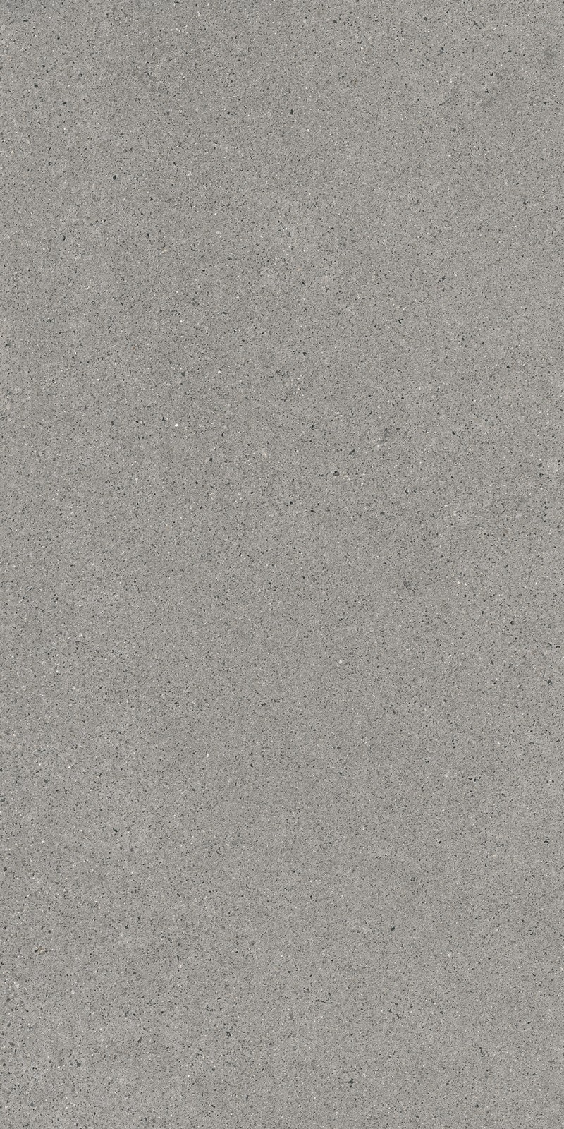 Bastille Gray Mate 60x120