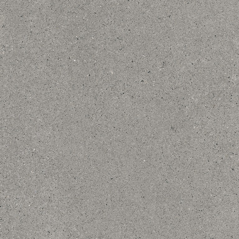 Bastille Gray Mate 60x120