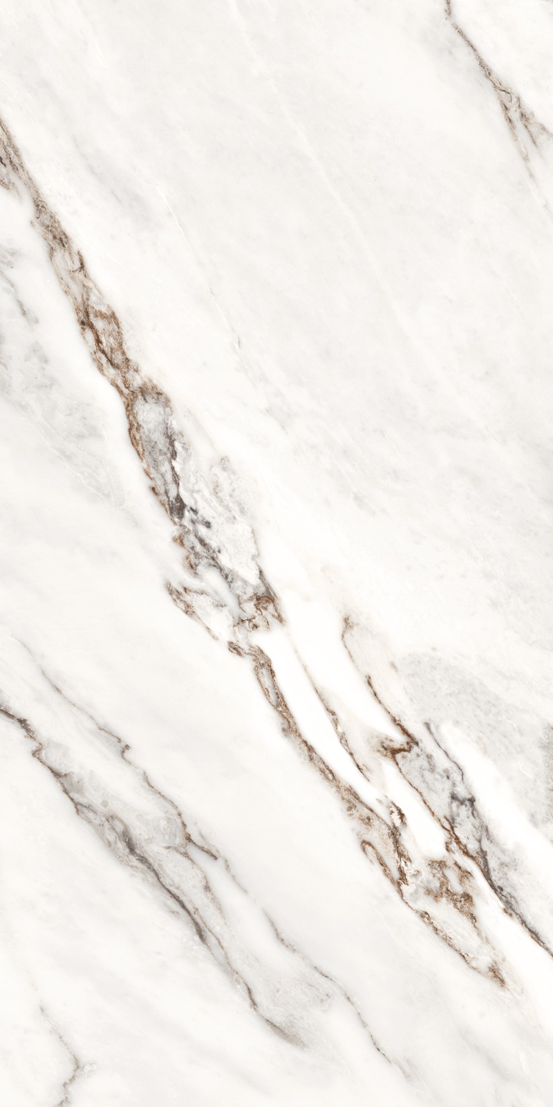 Bianco Magenta Unitono 60x120