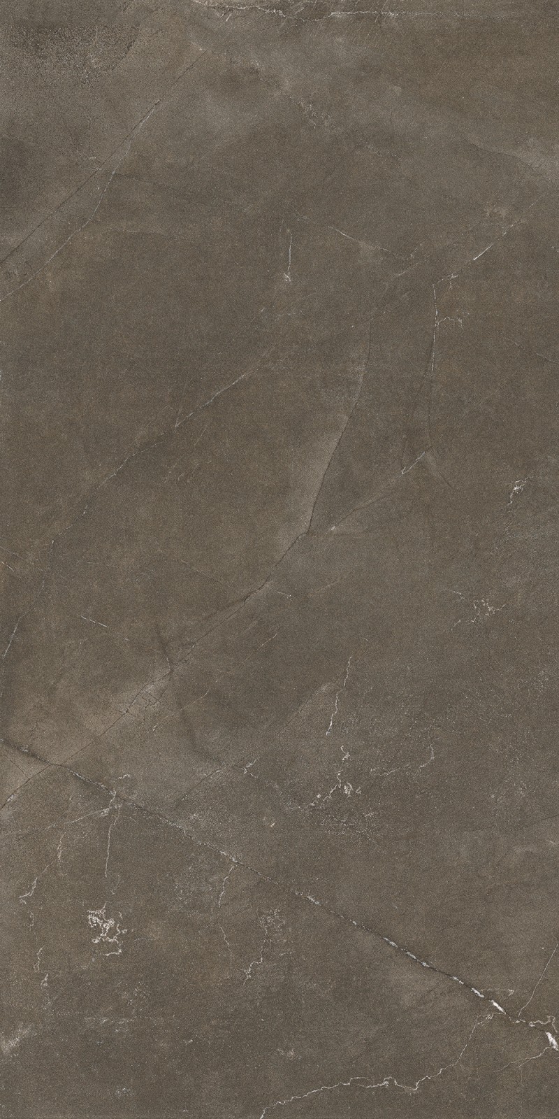 Bruni Mate 60x120