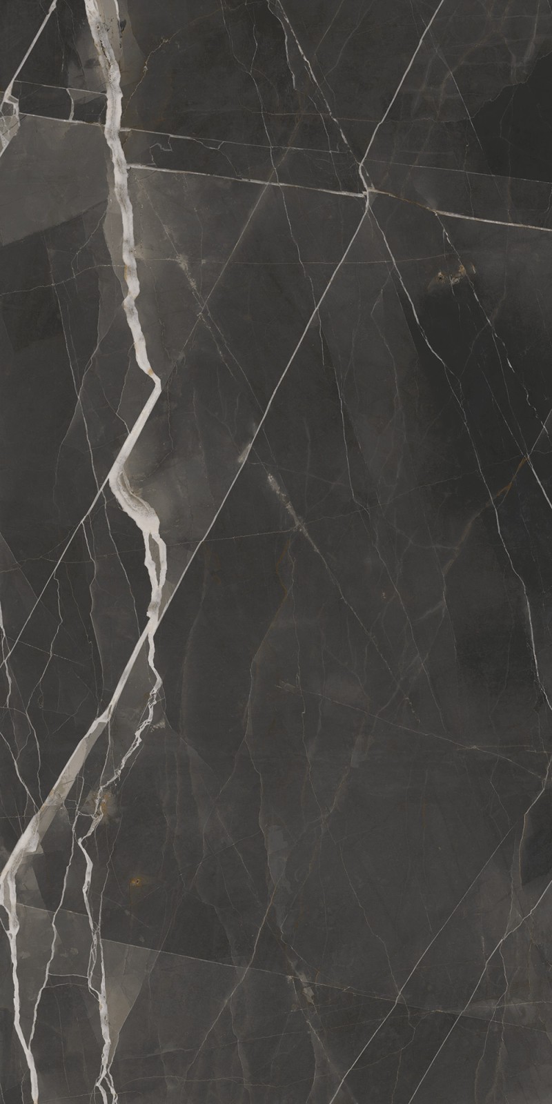 Calacatta Black Satinado 60x120