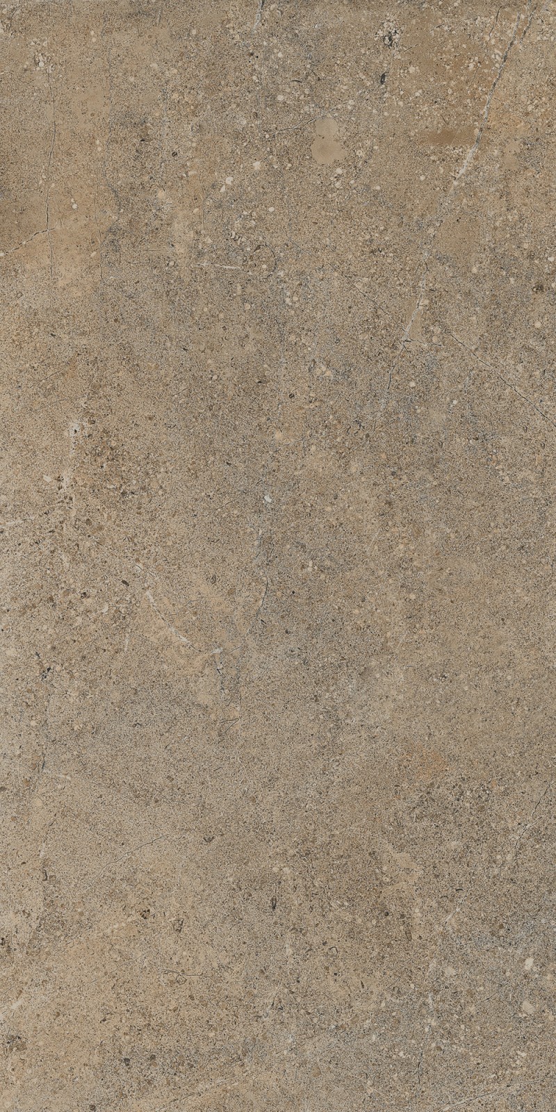 Gaudi Café 45x90 SG RECT