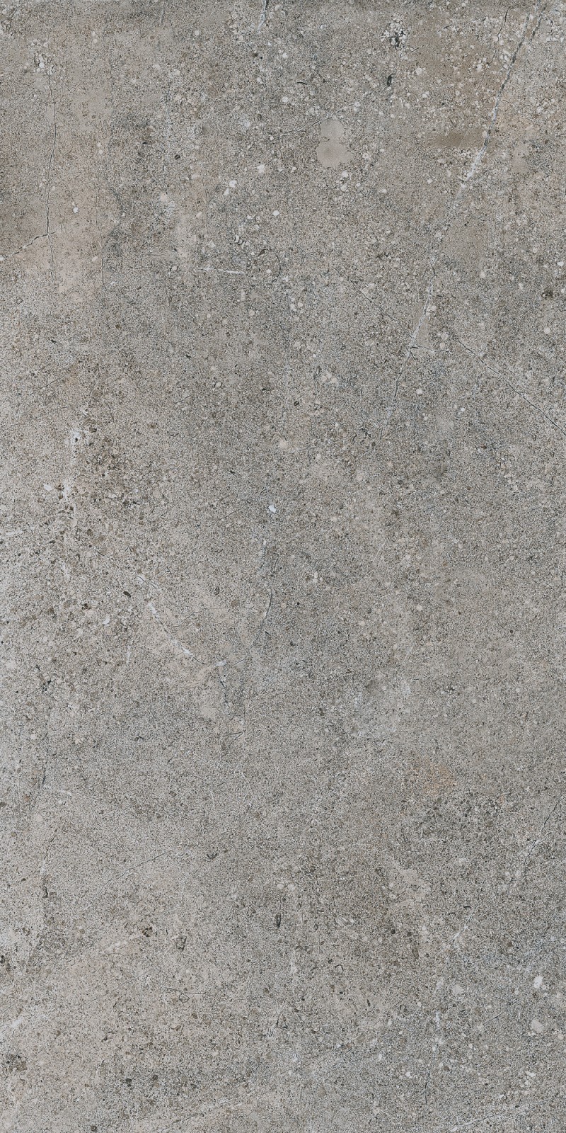 Gaudi Gris 45x90 SG RECT
