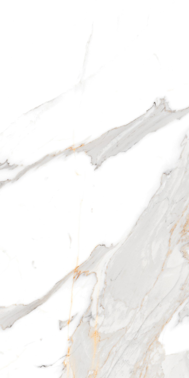 Livia Matte 24''X 48''