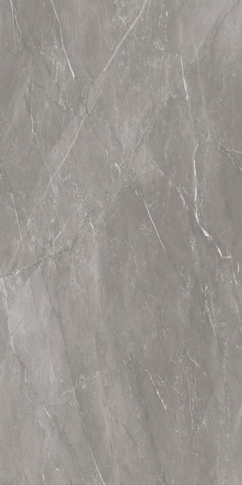 Michelino Grigio Pulido Brillante 80X160