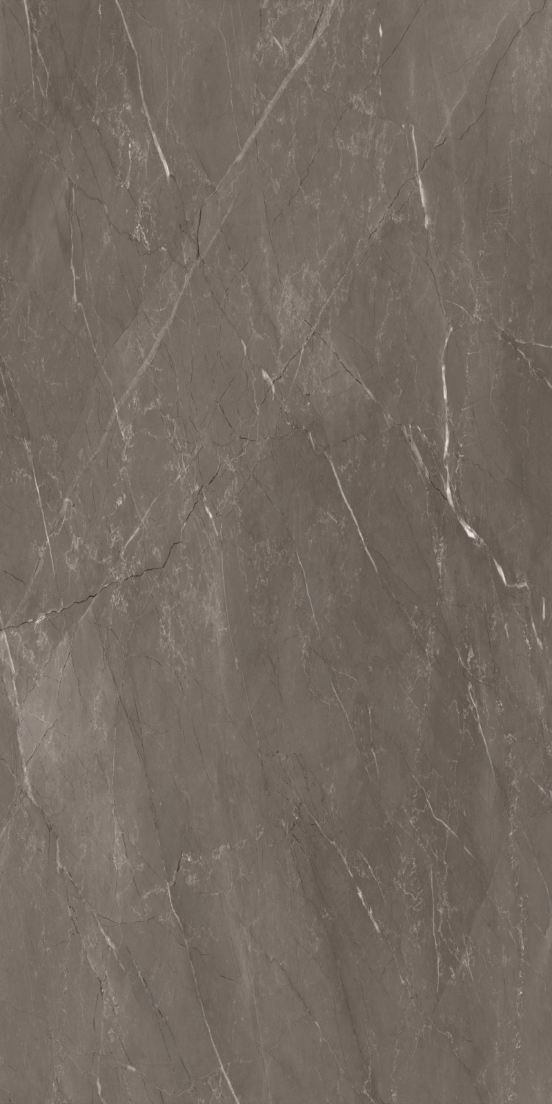 Michelino Taupe Pulido Brillante 80X160