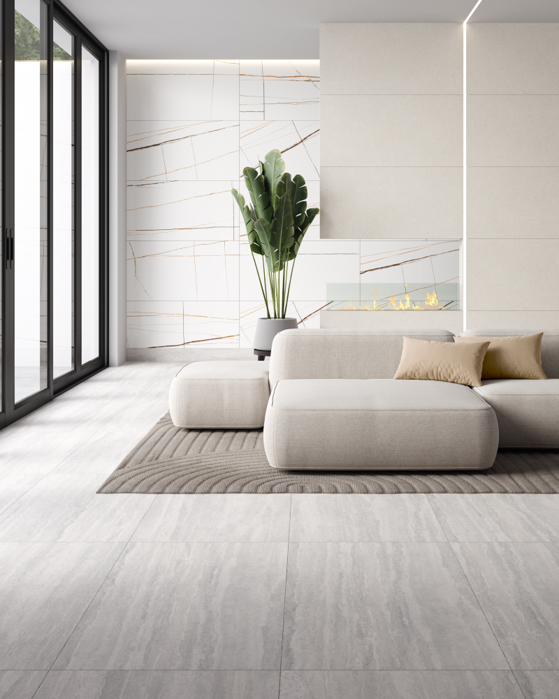 Caravita Gray Mate 60x120